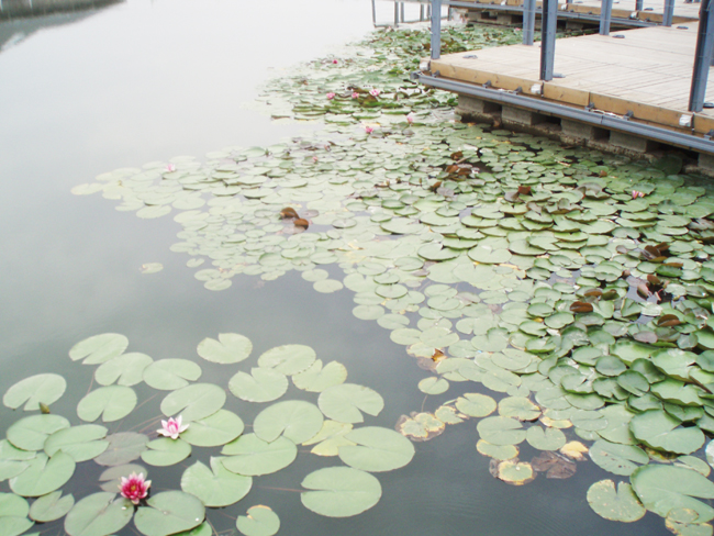 馬鞍山某度假村
