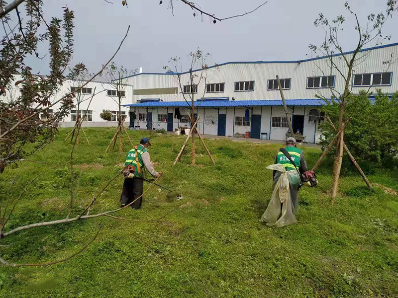 綠地養(yǎng)護(hù)