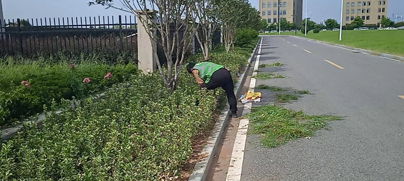 園林養(yǎng)護(hù)-華旺新材料公司(上市公司)