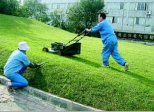 馬鞍山綠化養(yǎng)護